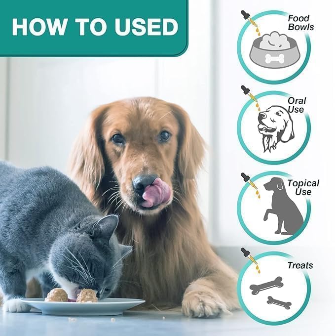 RiRywony Health hip joint support visual for active pets.