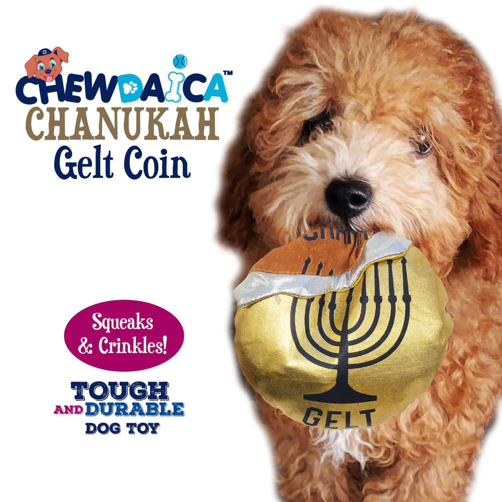 Rite Lite dog toy interactive play for fetch and chew during Hanukkah