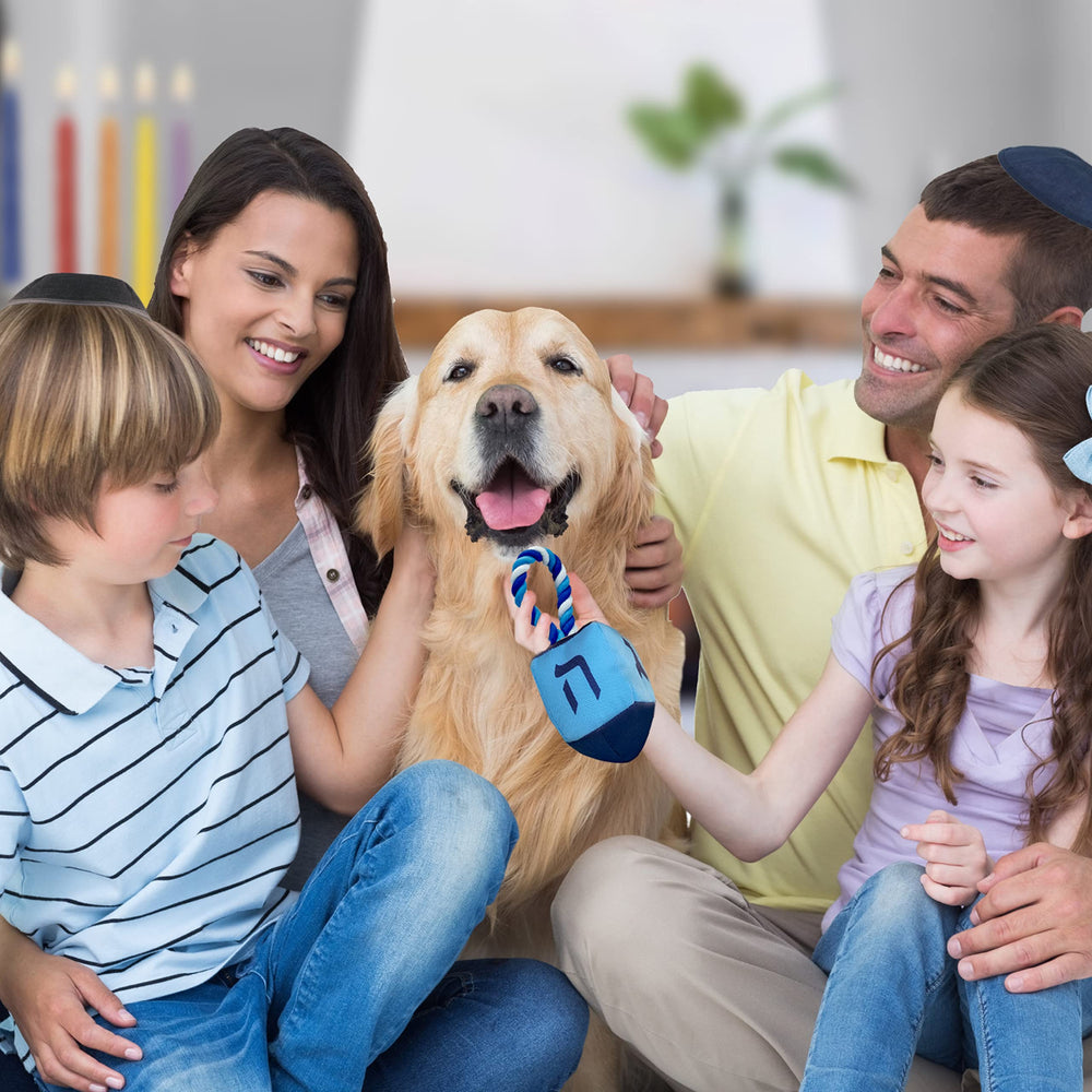 Rite Lite Dreidel Dog Toy in action during fetch with a joyful pup.