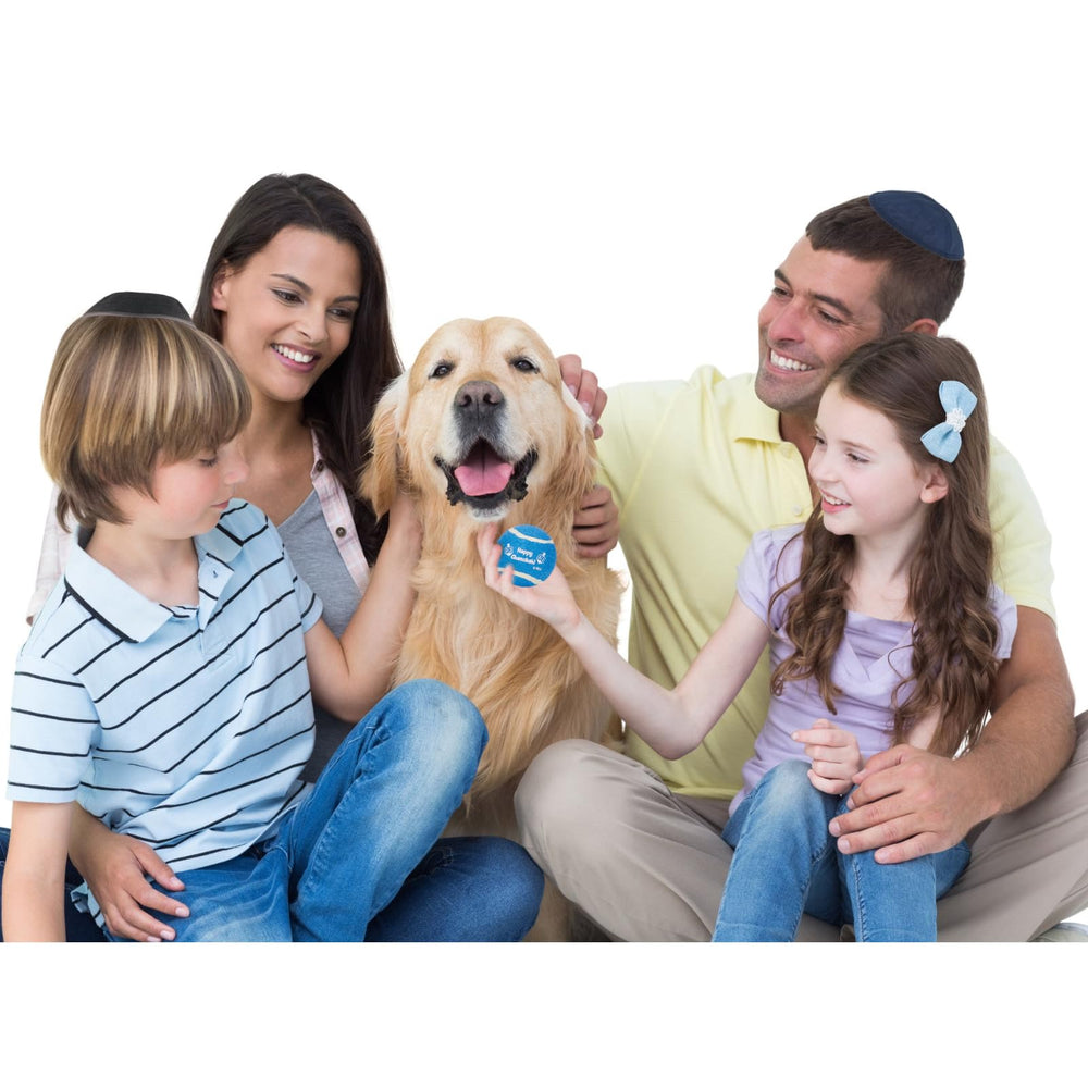 Rite Lite Hanukkah dog toy tennis ball blue pack 4 ideal for training and rewards