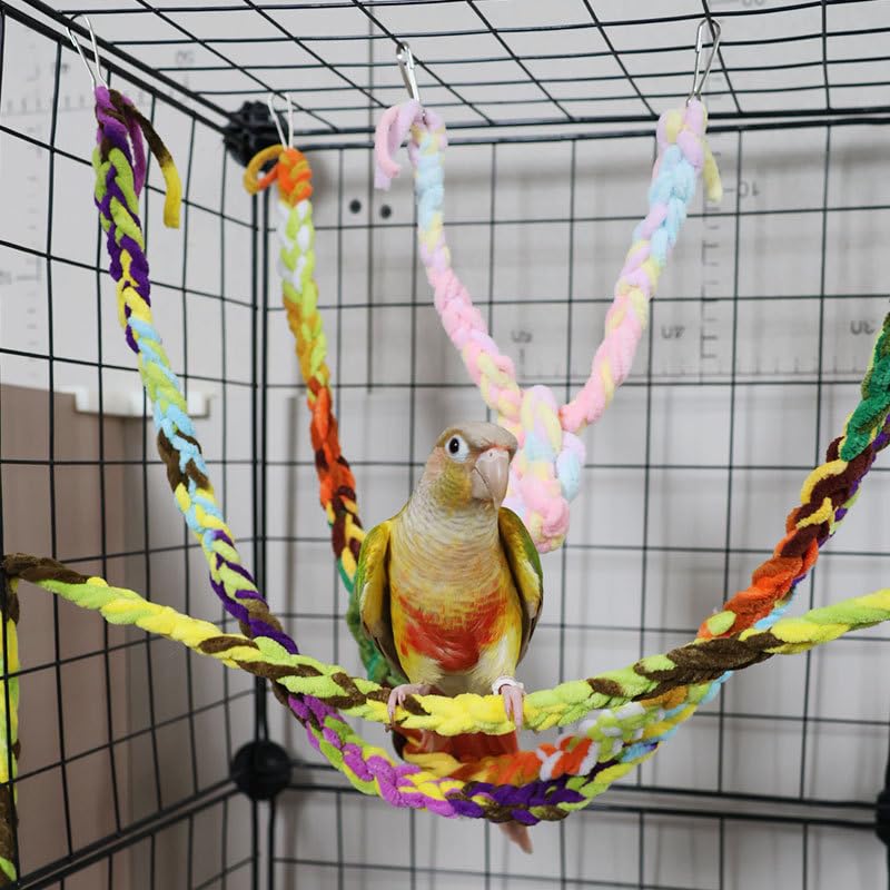 RIOUSSI sugar glider exercise climb visual focusing on fitness-friendly toy.