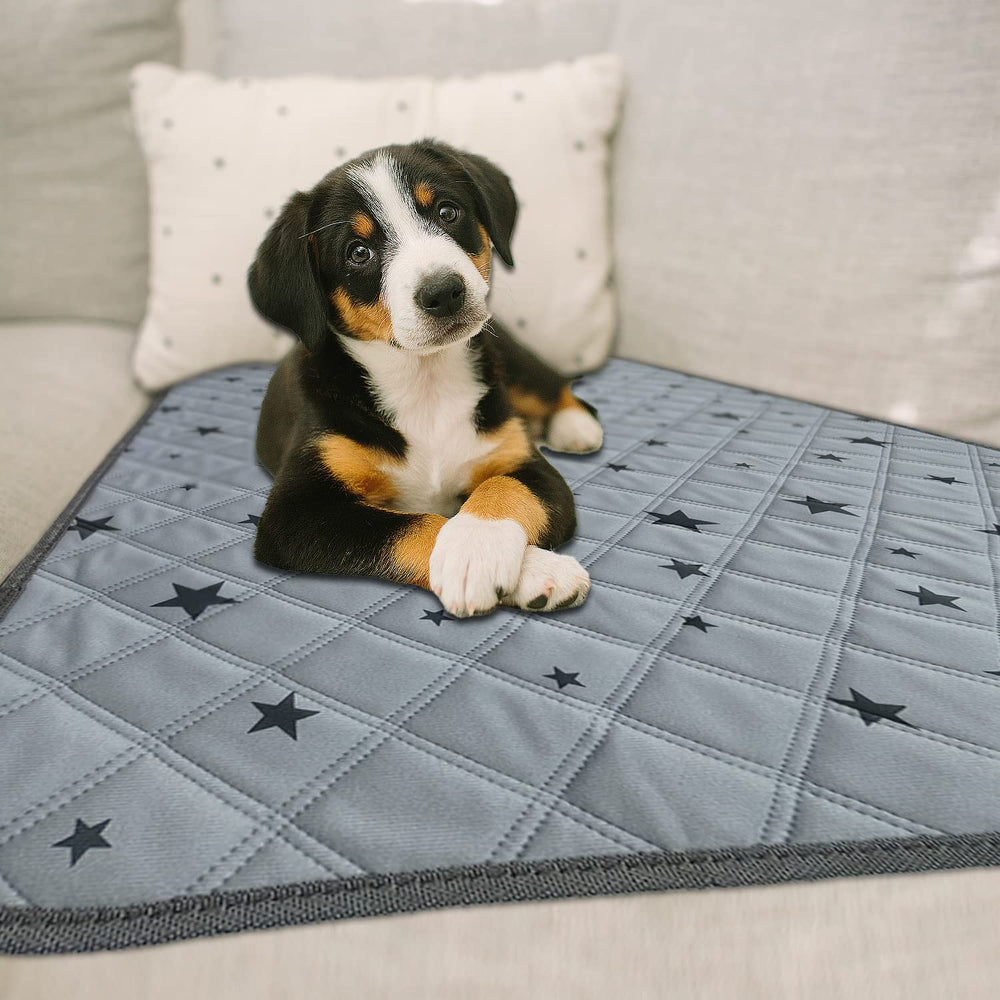 RIOUSSI 4-pack of washable puppy pads ready for busy households