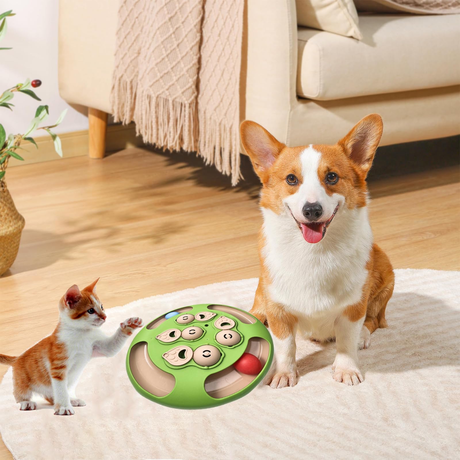 RuiXiangTeng cat puzzle toy green safe ABS construction ensures durable, pet-friendly use