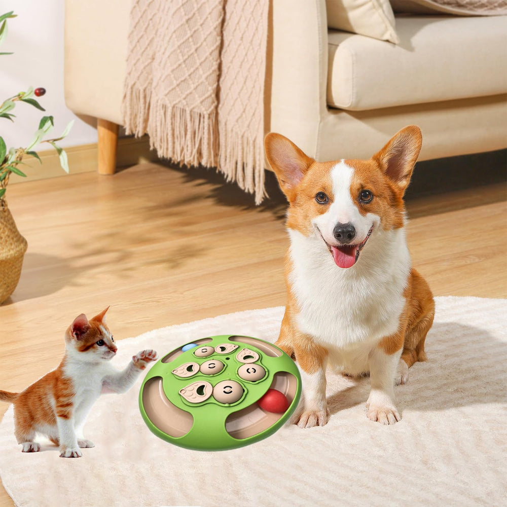 RuiXiangTeng cat puzzle toy green safe ABS construction ensures durable, pet-friendly use