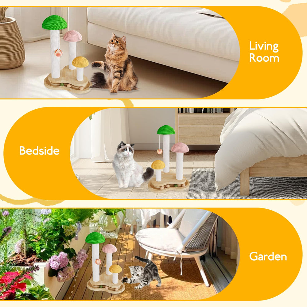 Riyotsu indoor cat play area: compact setup blends with home decor while entertaining cats.