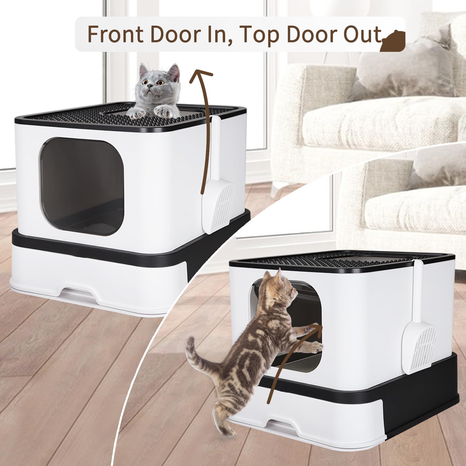 RIZZARI cat box lid/top view shows high walls containing odors and offering space.