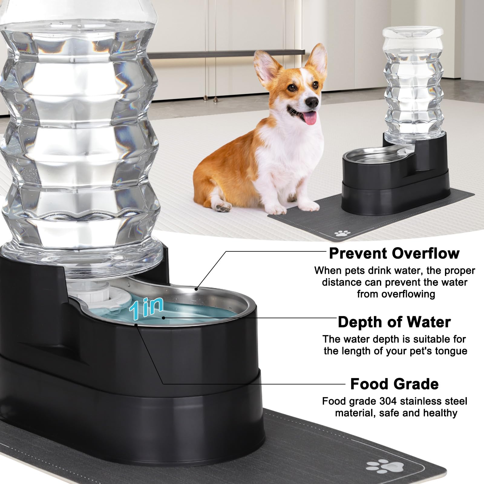 RIZZARI complete hydration set ships ready to use for pets.
