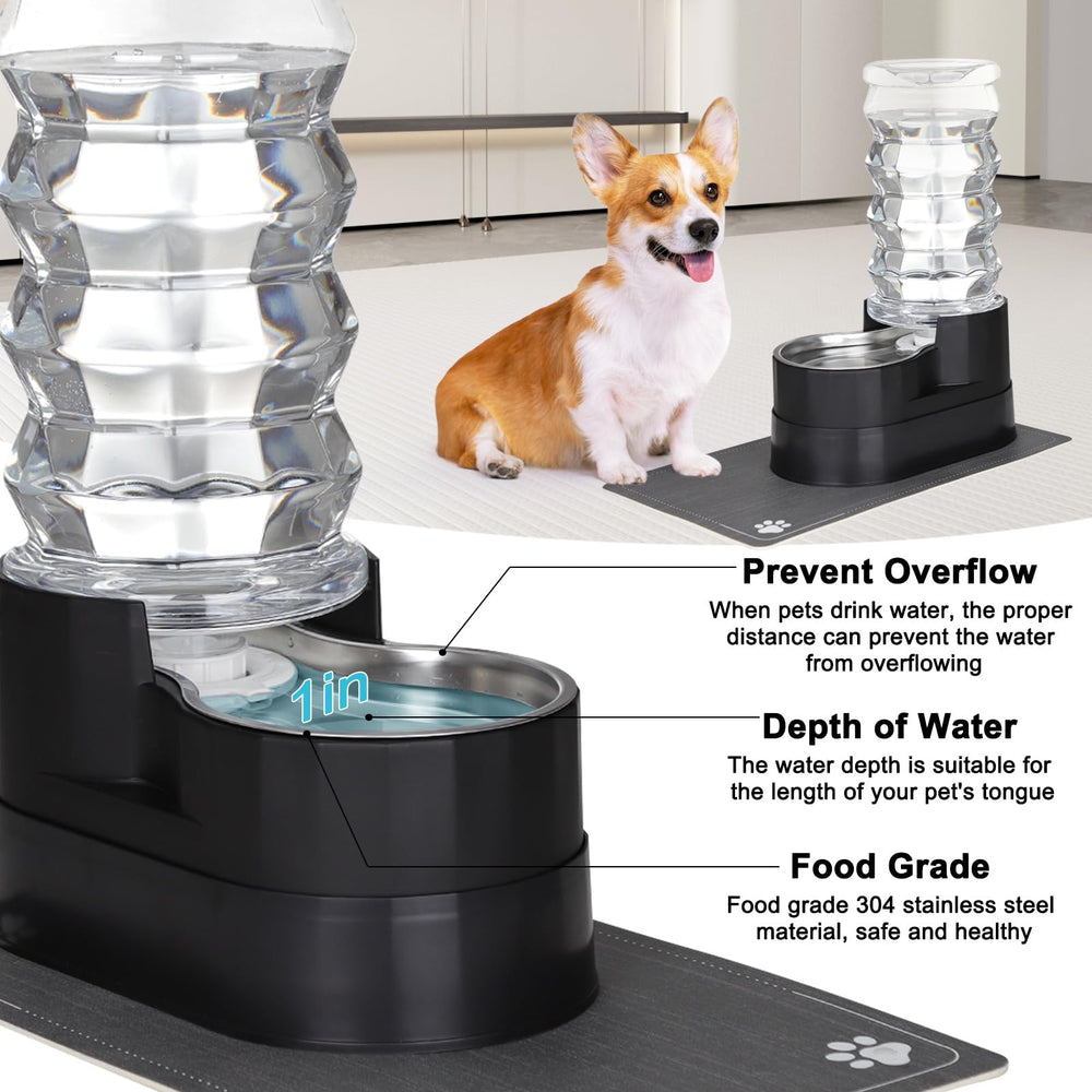 RIZZARI complete hydration set ships ready to use for pets.