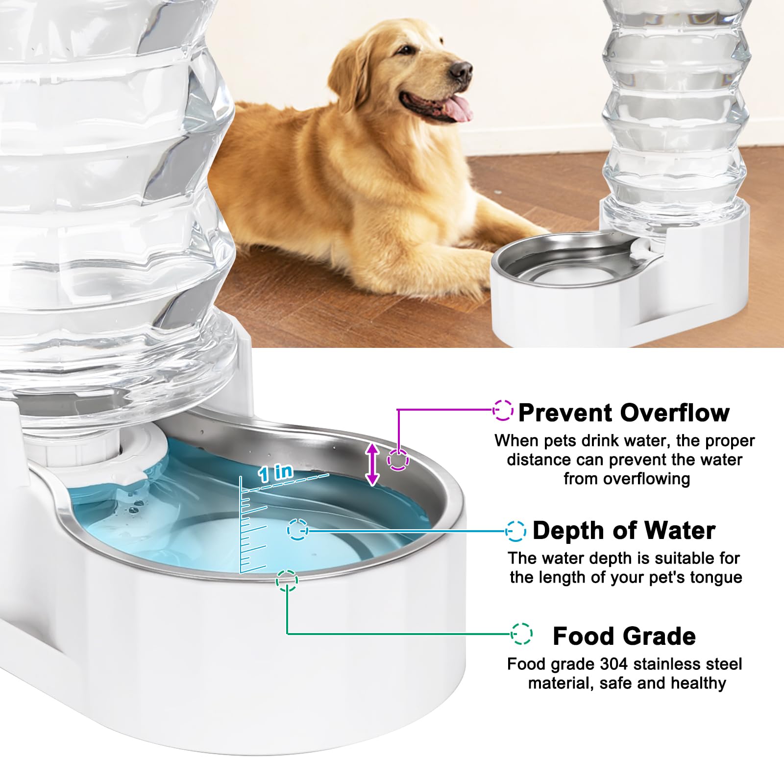 RIZZARI living room setup with dog enjoying clean water