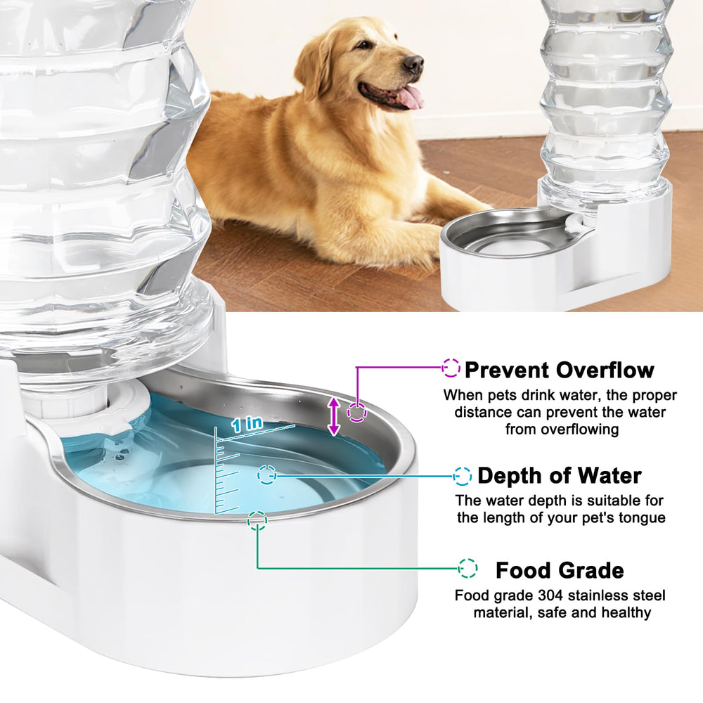 RIZZARI living room setup with dog enjoying clean water