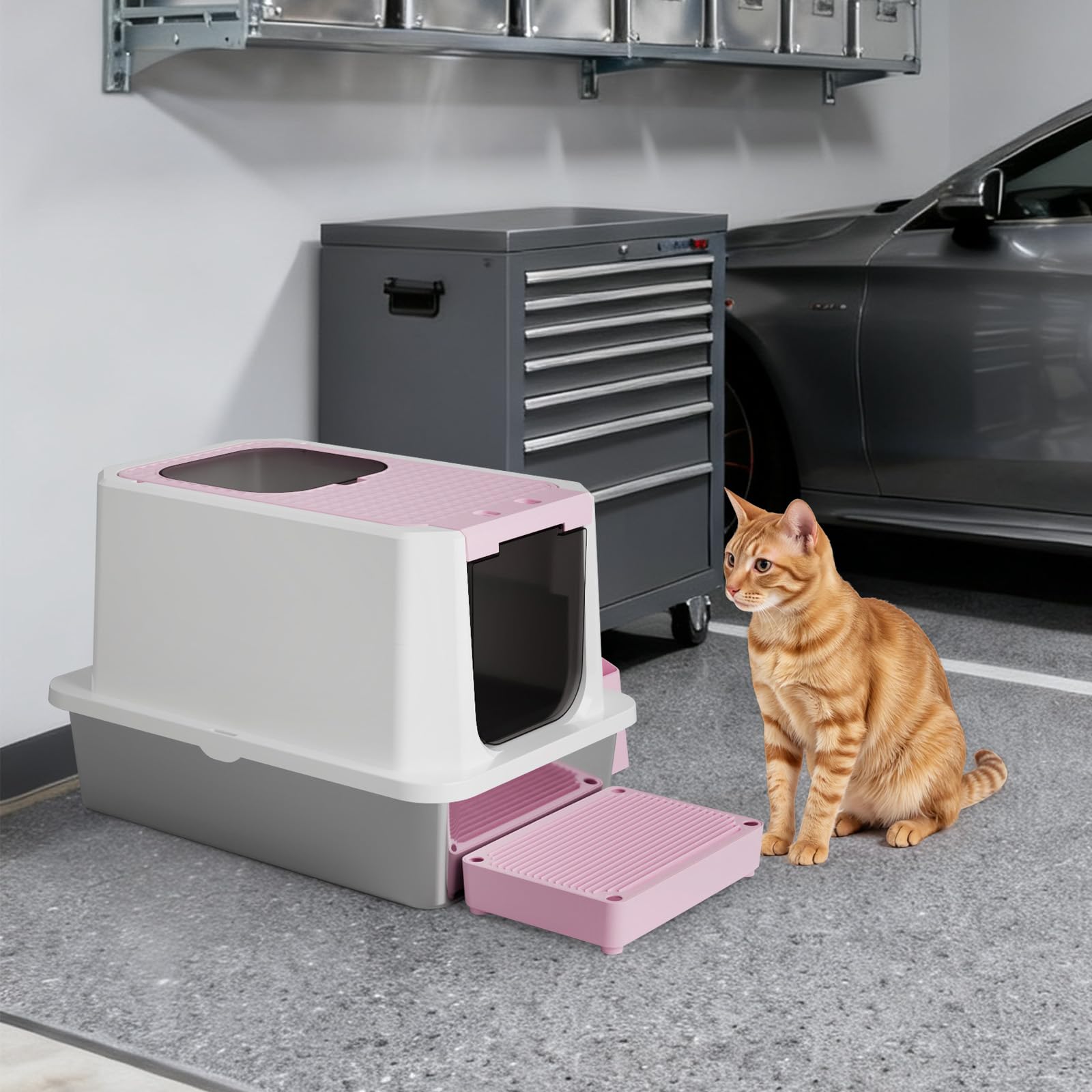 RIZZARI multi-cat use in apartments supports shared living spaces with odor management