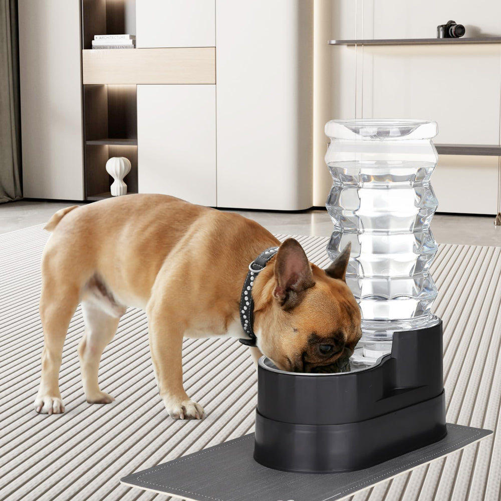 RIZZARI senior-dog friendly height option supports comfortable drinking.