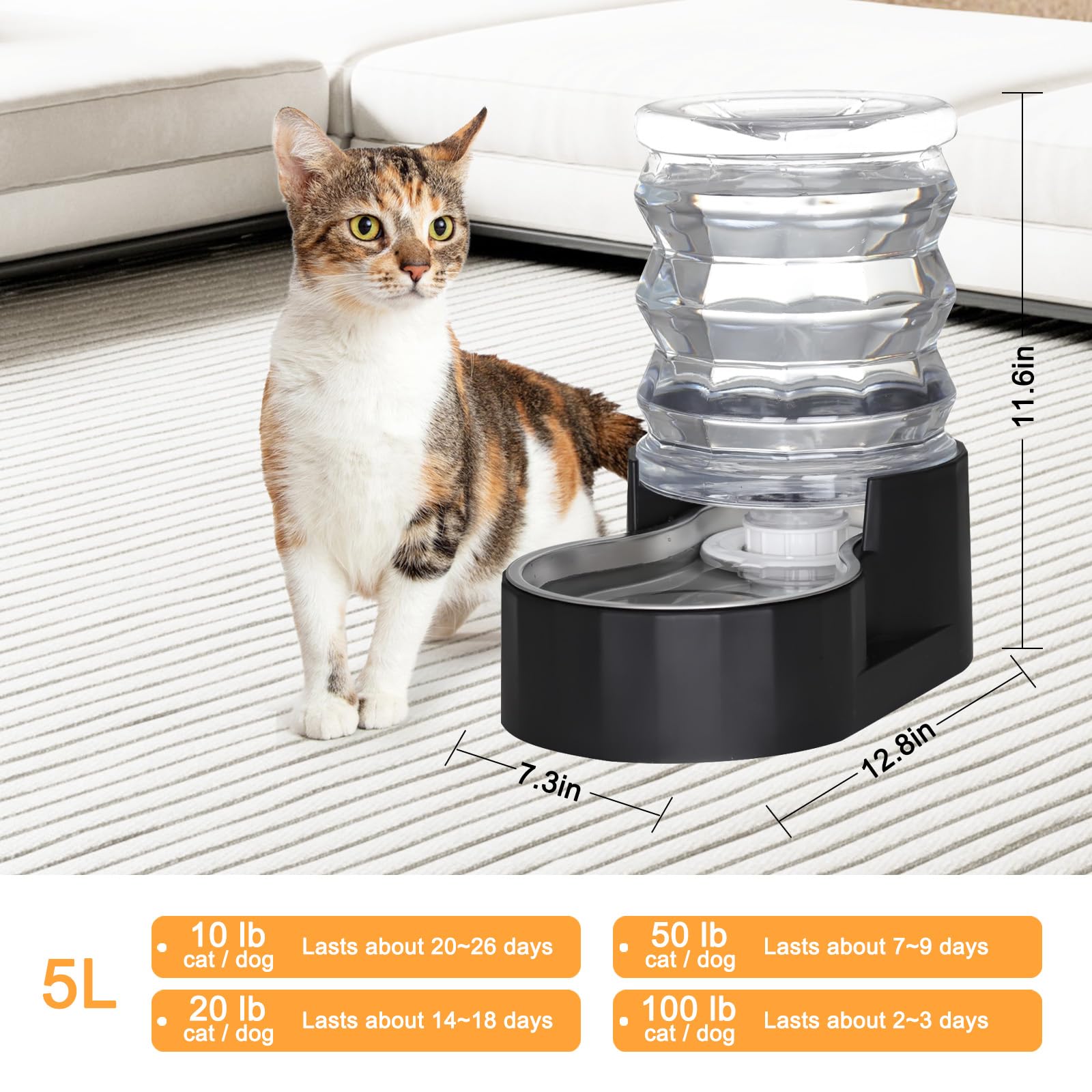 RIZZARI stainless steel bowl 304 detail emphasizing rust-resistant durable drinking surface