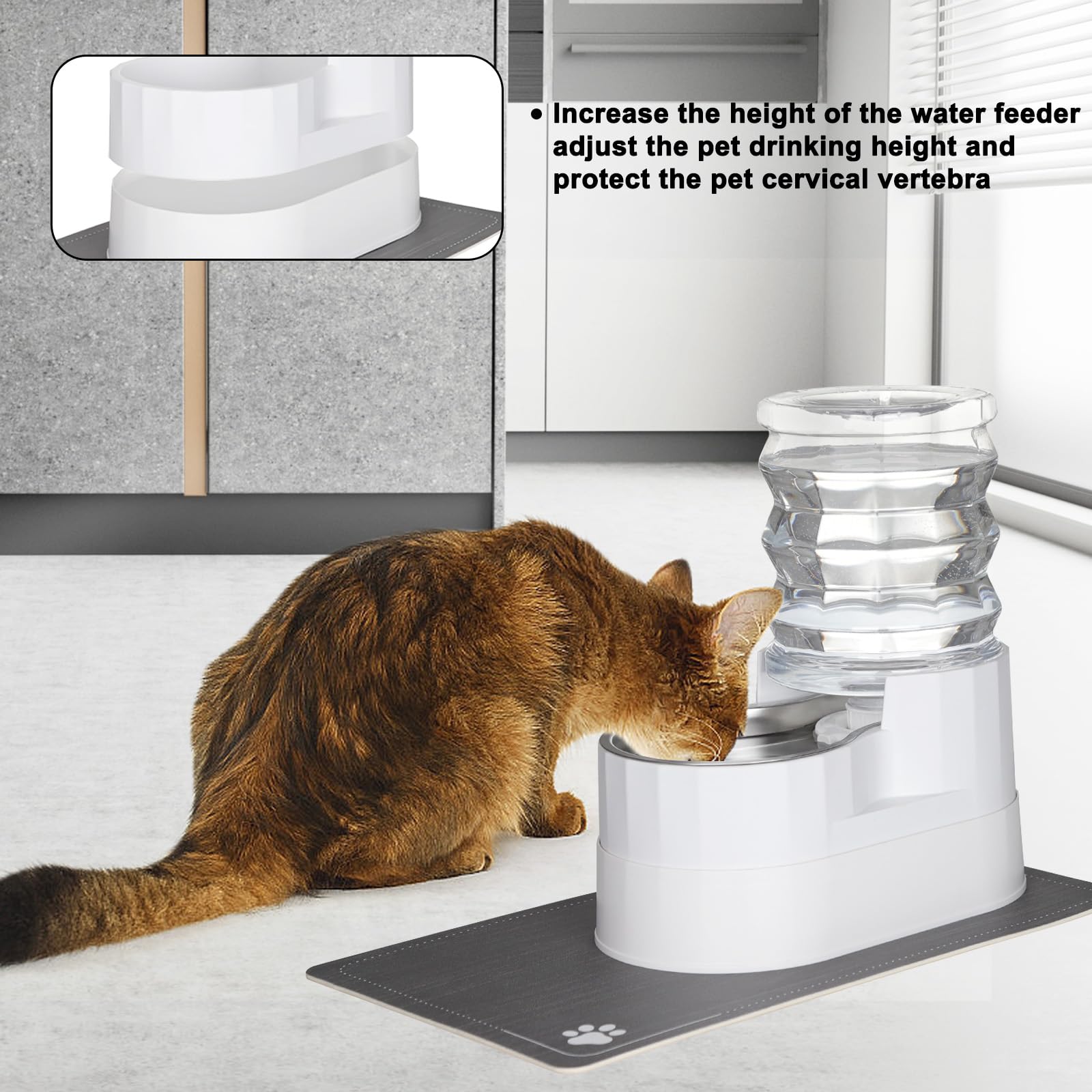 RIZZARI stainless steel bowl close-up showing durable, hygienic water contact.