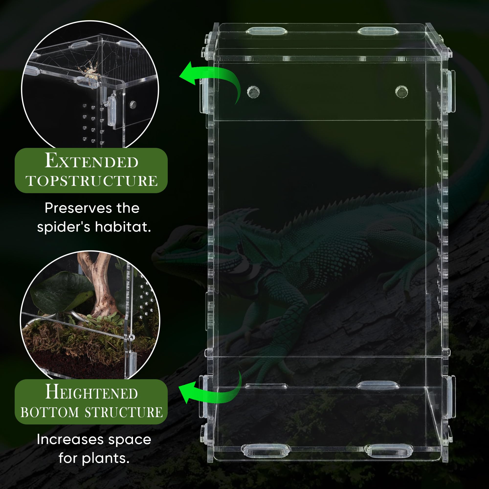 RJDJOVJJ jumping spider enclosure interior view showing DIY customization ease
