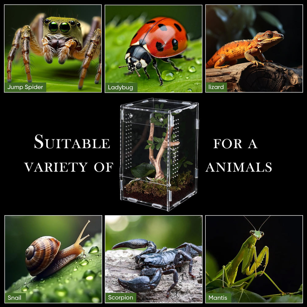 RJDJOVJJ jumping spider enclosure easy-install assembly for quick setup