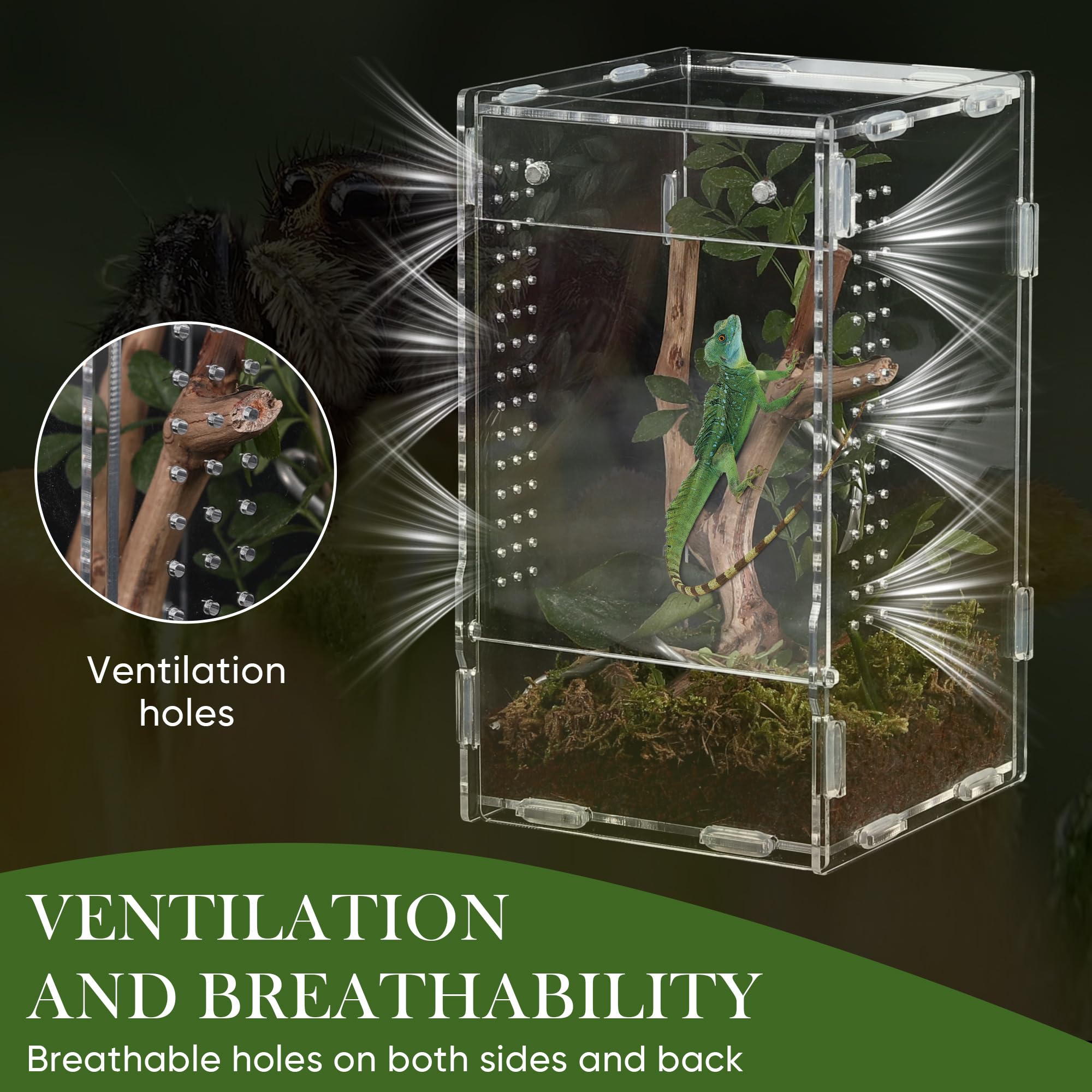 RJDJOVJJ jumping spider enclosure front opening door enabling easy feeding with minimal disturbance