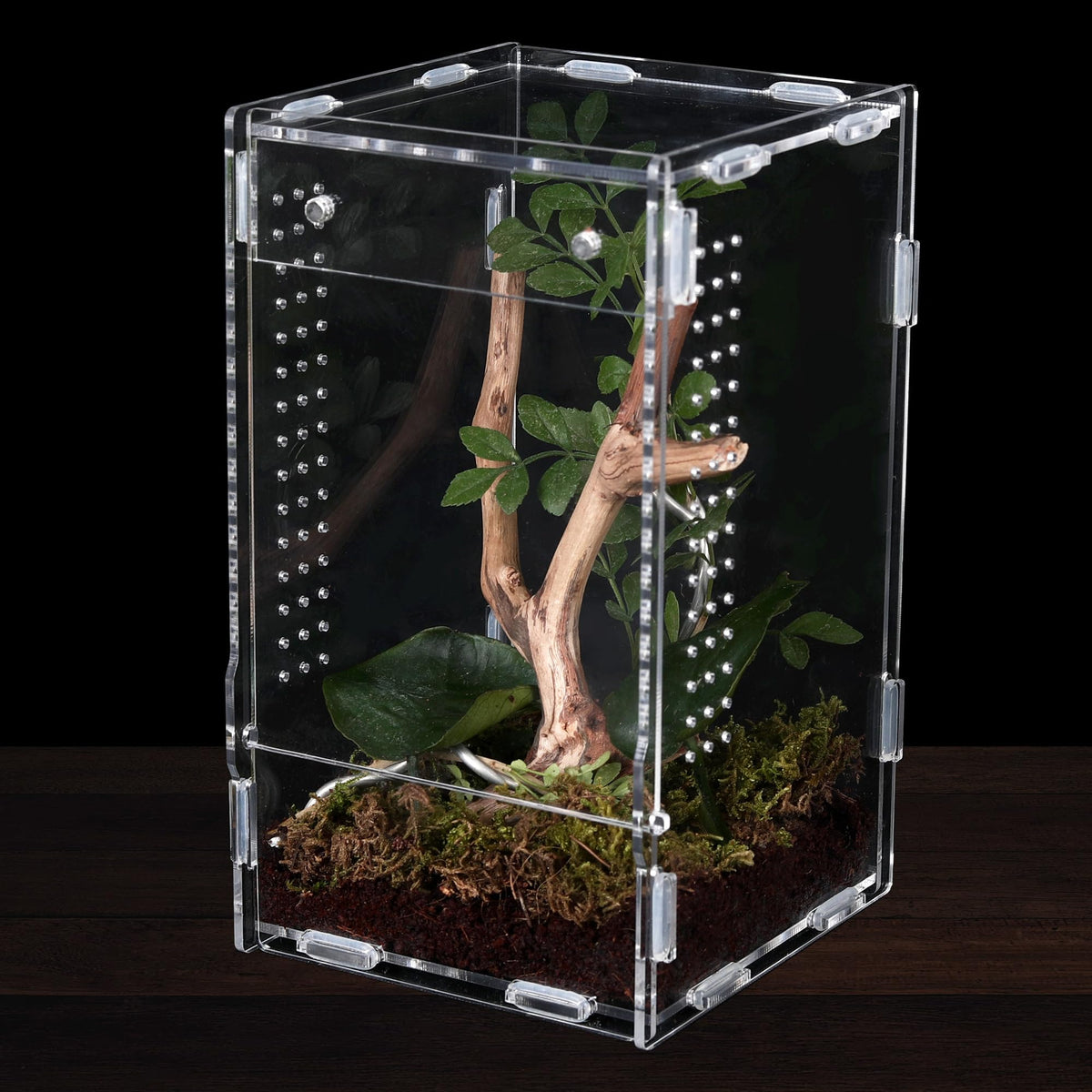 RJDJOVJJ jumping spider enclosure front view for compact observation and easy access
