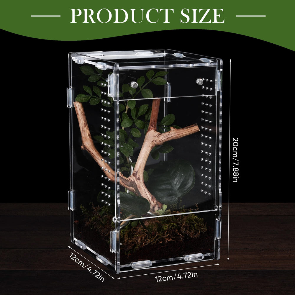 RJDJOVJJ jumping spider enclosure side ventilation view illustrating breathable airflow