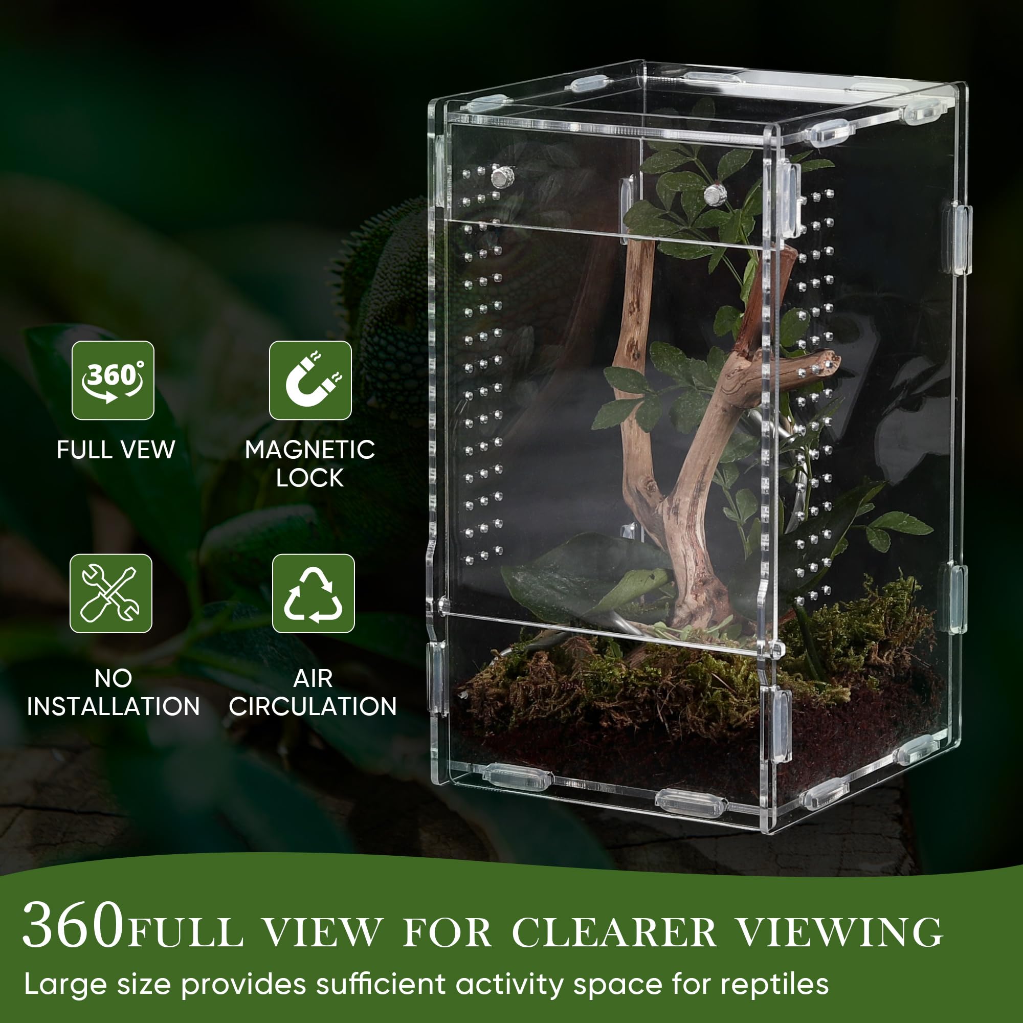 RJDJOVJJ jumping spider enclosure transparent acrylic close-up with clear visibility of occupants
