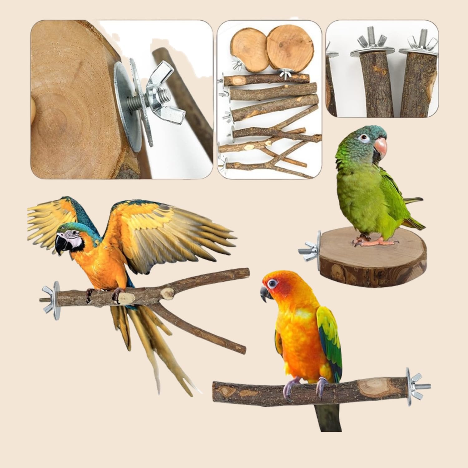 Rliguanrui wooden parrot stand offers a sturdy perch for parakeets and budgies.