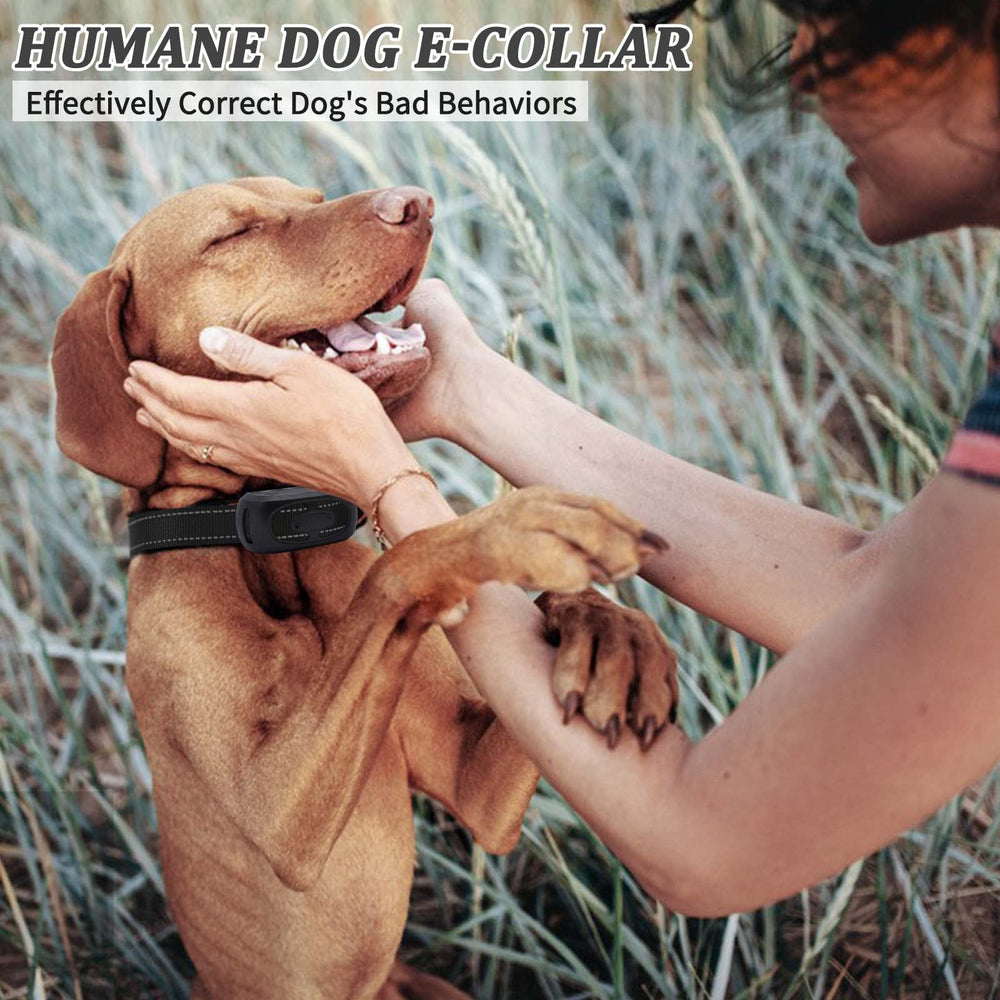 RNEMP remote dial knob on the collar enables blind operation