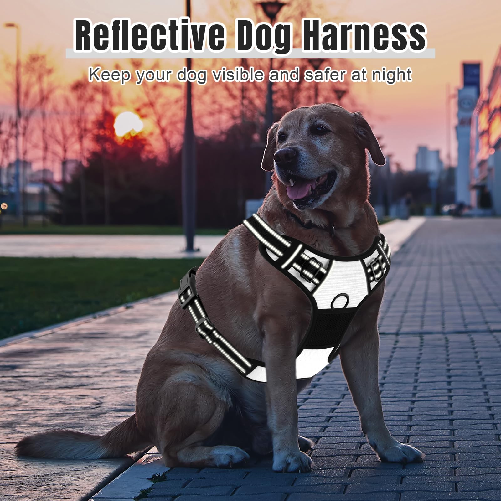 Rnivvi No Pull Harness with integrated handle enables quick control during walks.