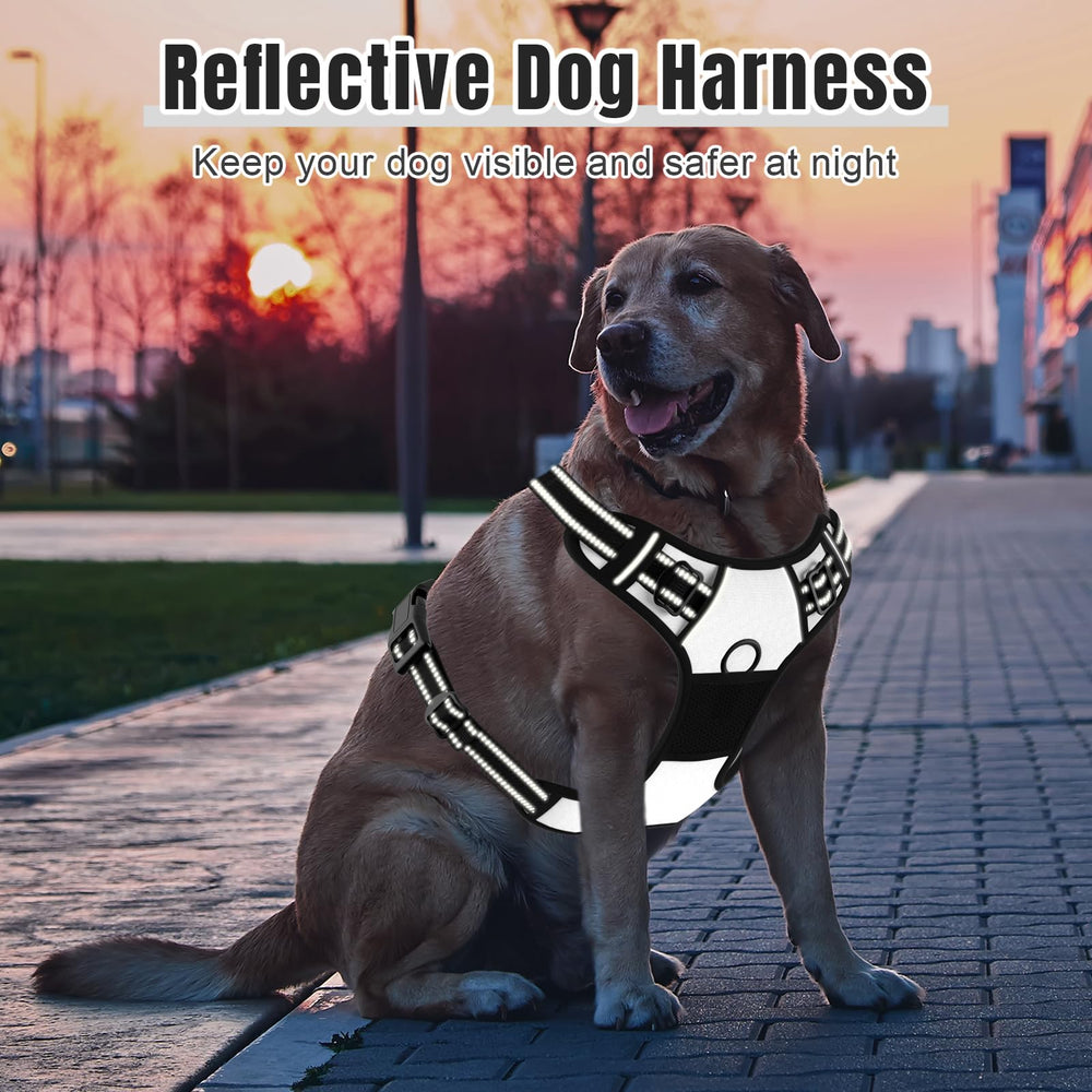 Rnivvi No Pull Harness with integrated handle enables quick control during walks.