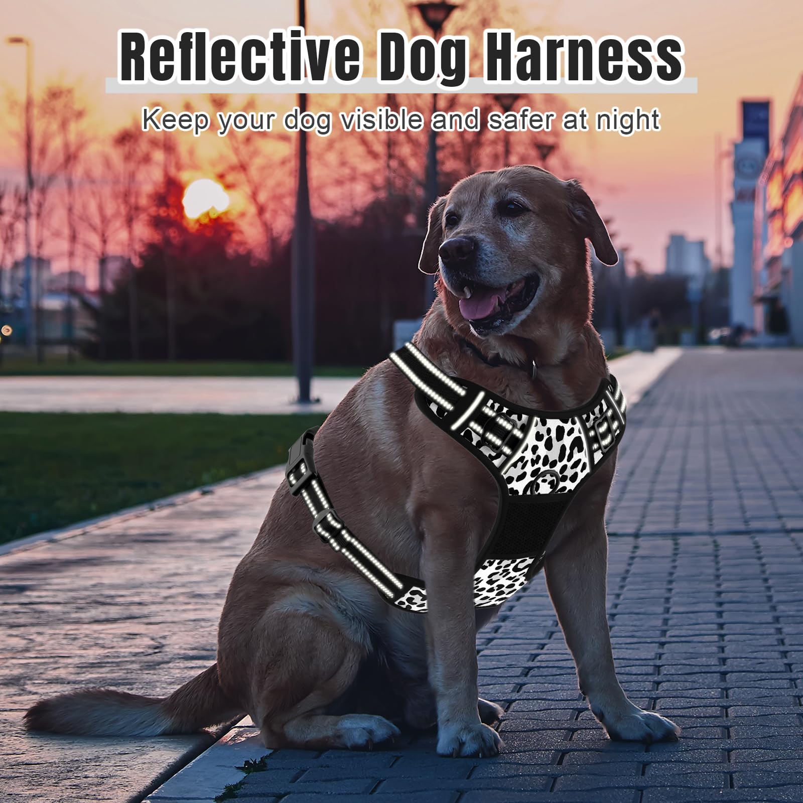 Rnivvi heavy-duty harness with control handle for confident walking.