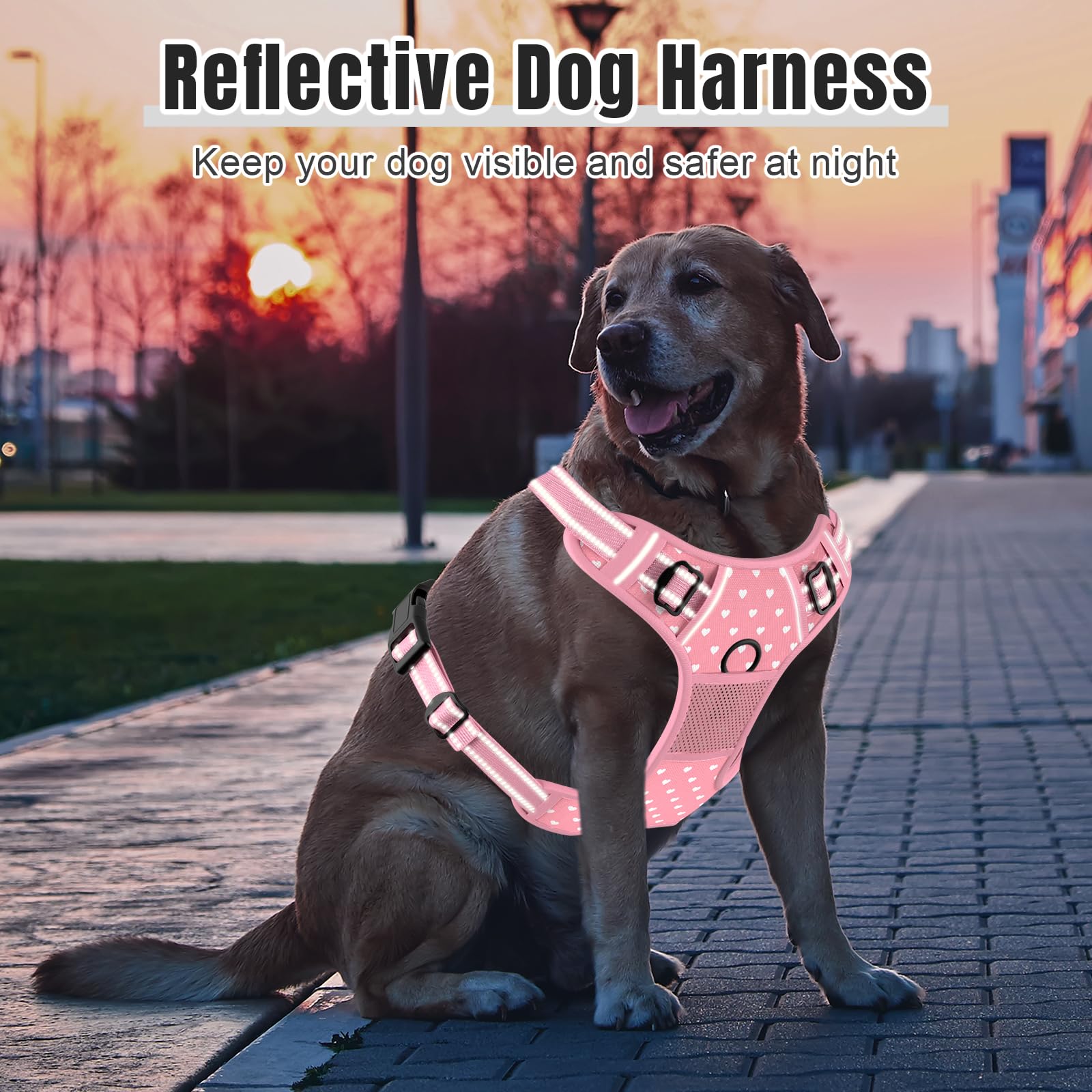 Rnivvi No Pull Harness adjustable straps ensure a snug fit for small dogs and cats