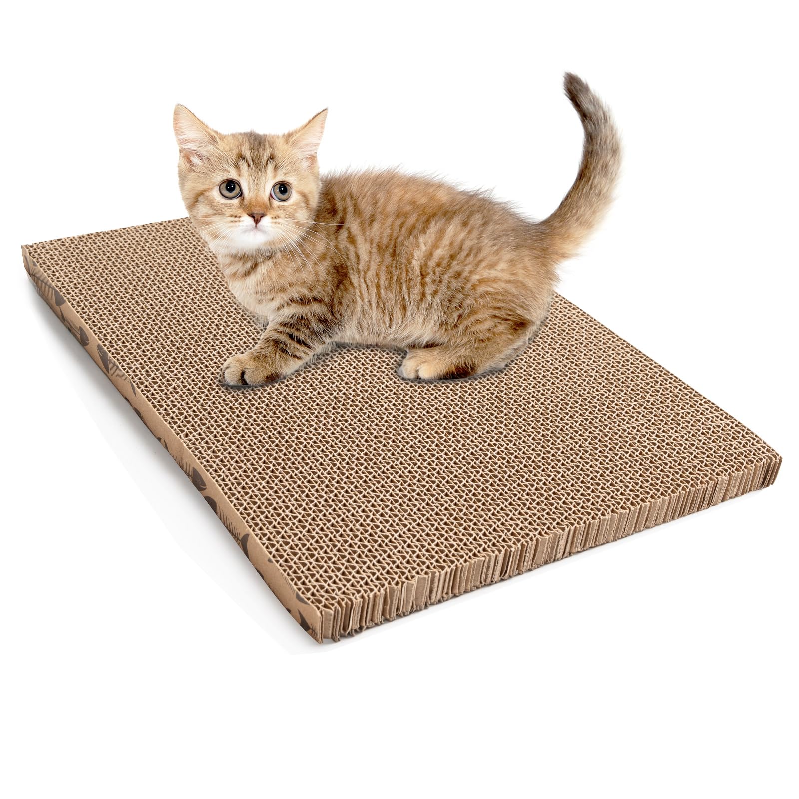Roadtofree cat scratching board front view showing compact indoor size and furniture protection