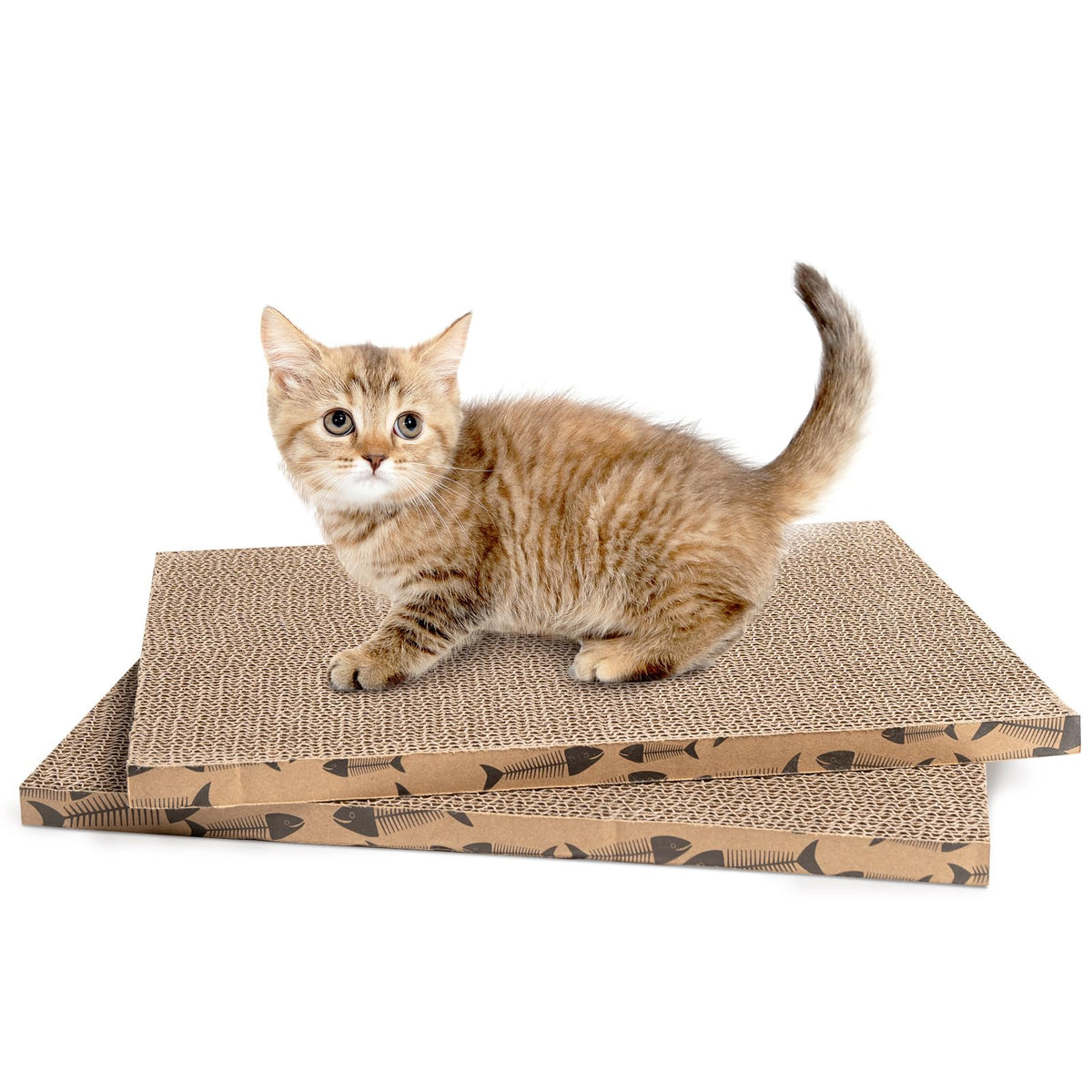 Roadtofree cat scratcher board side view shows durable scratching and furniture protection