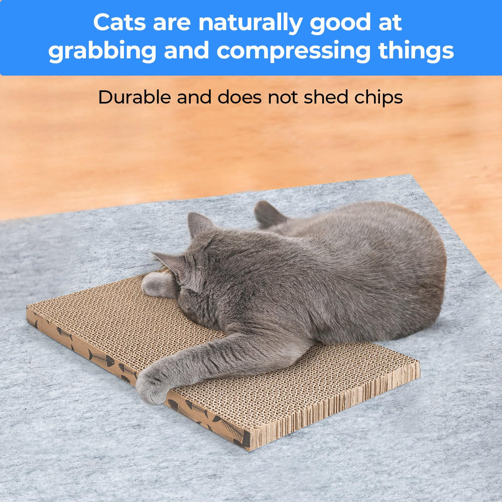 Roadtofree cat scratcher in use by a curious indoor cat