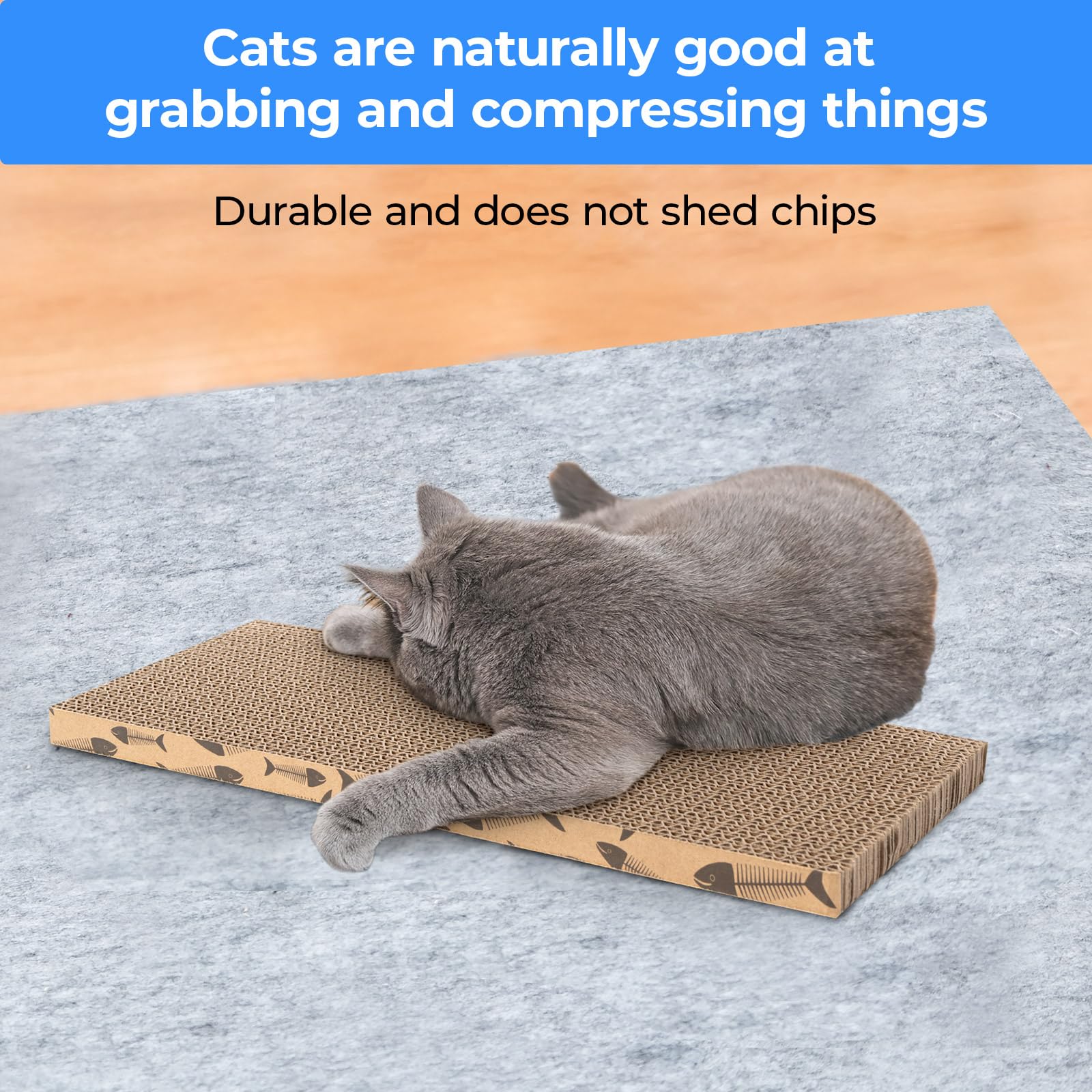 Roadtofree double-sided board opened to demonstrate extended durability and activity.