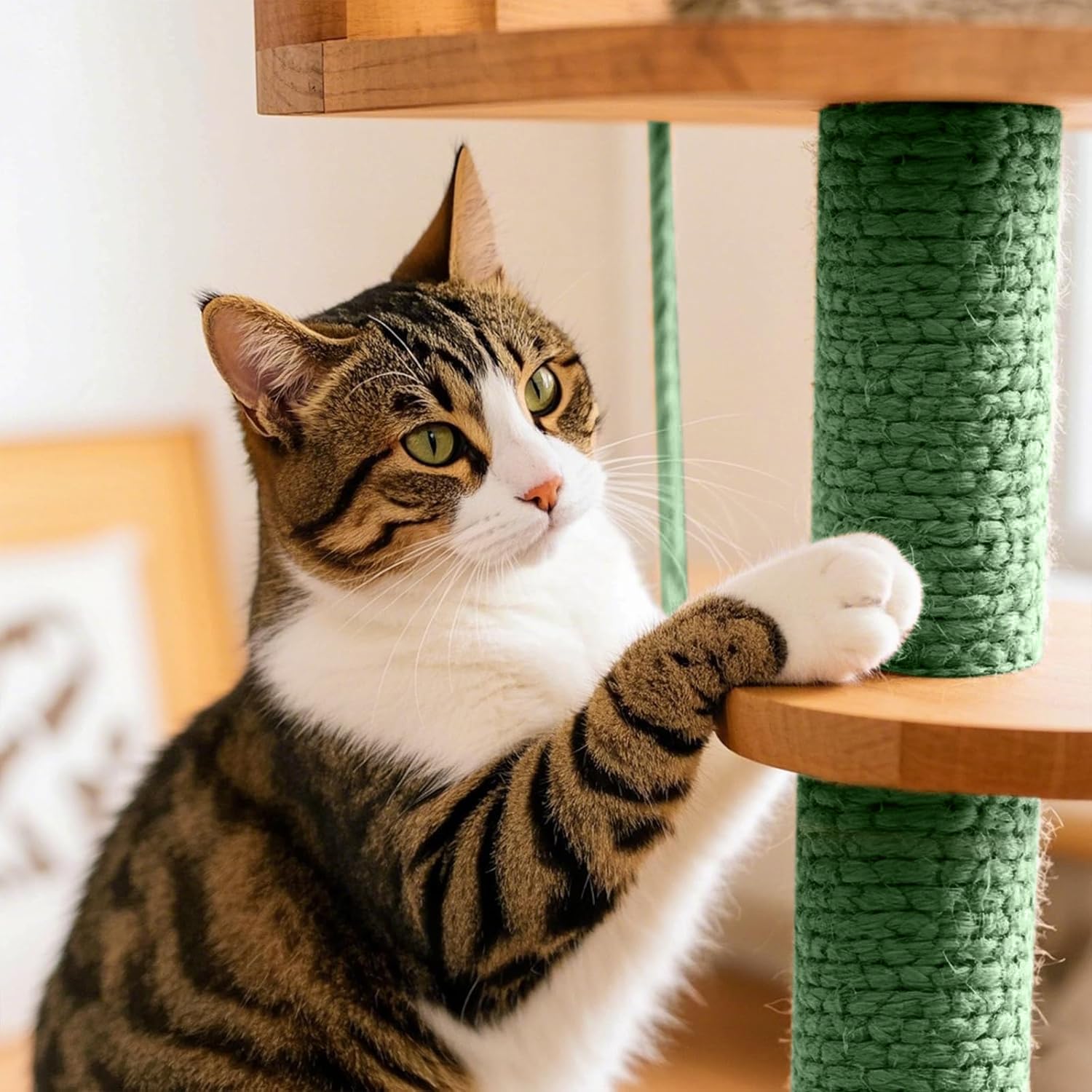 Roadtofree sisal rope cat houses and towers offer versatile play spaces.