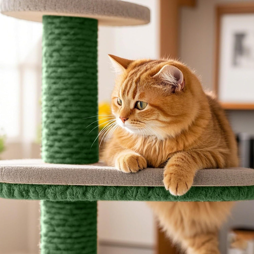 Roadtofree sisal rope playtime setup inspires interactive cat activity.