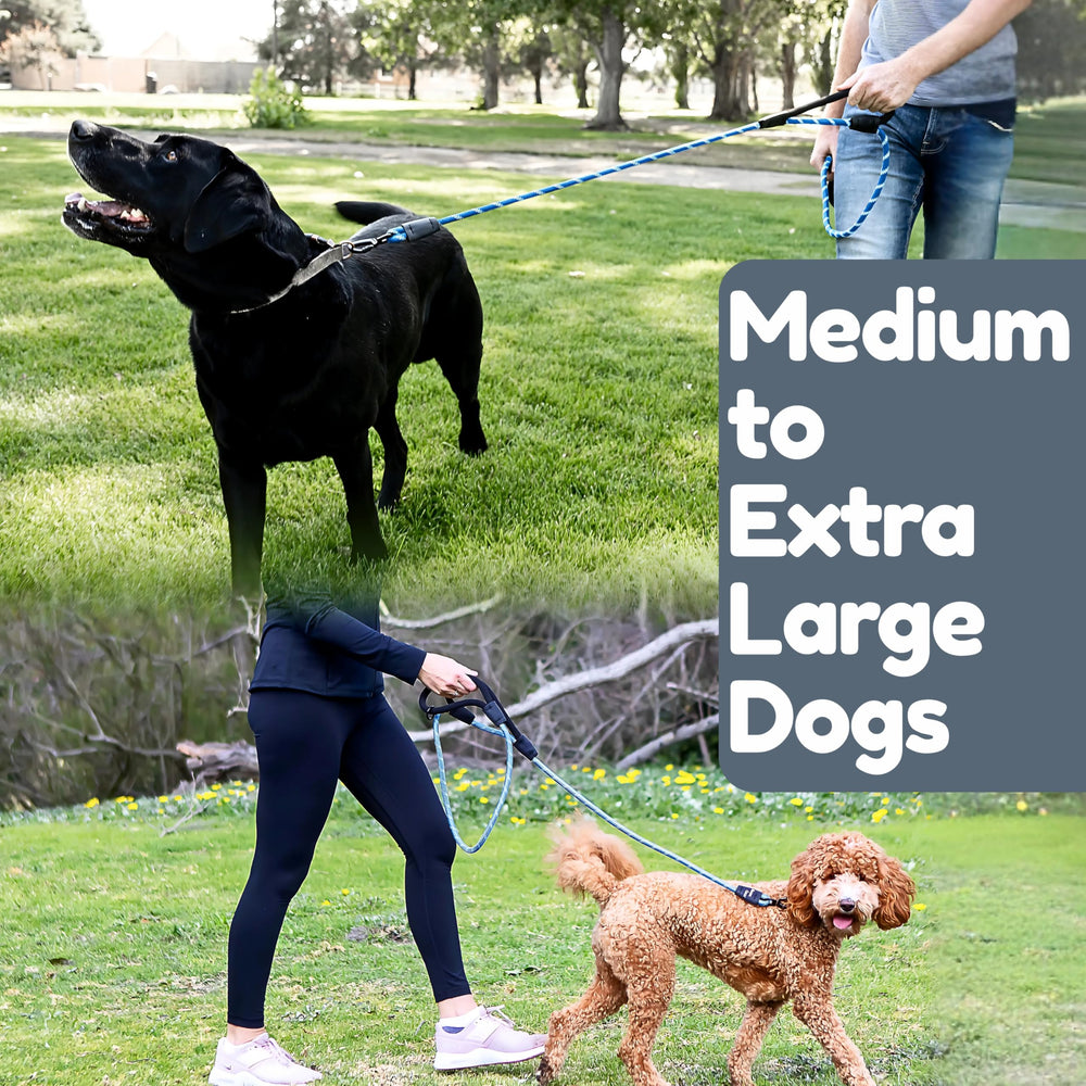 Roam Gear blue 6-foot leash in active outdoor training scenario.