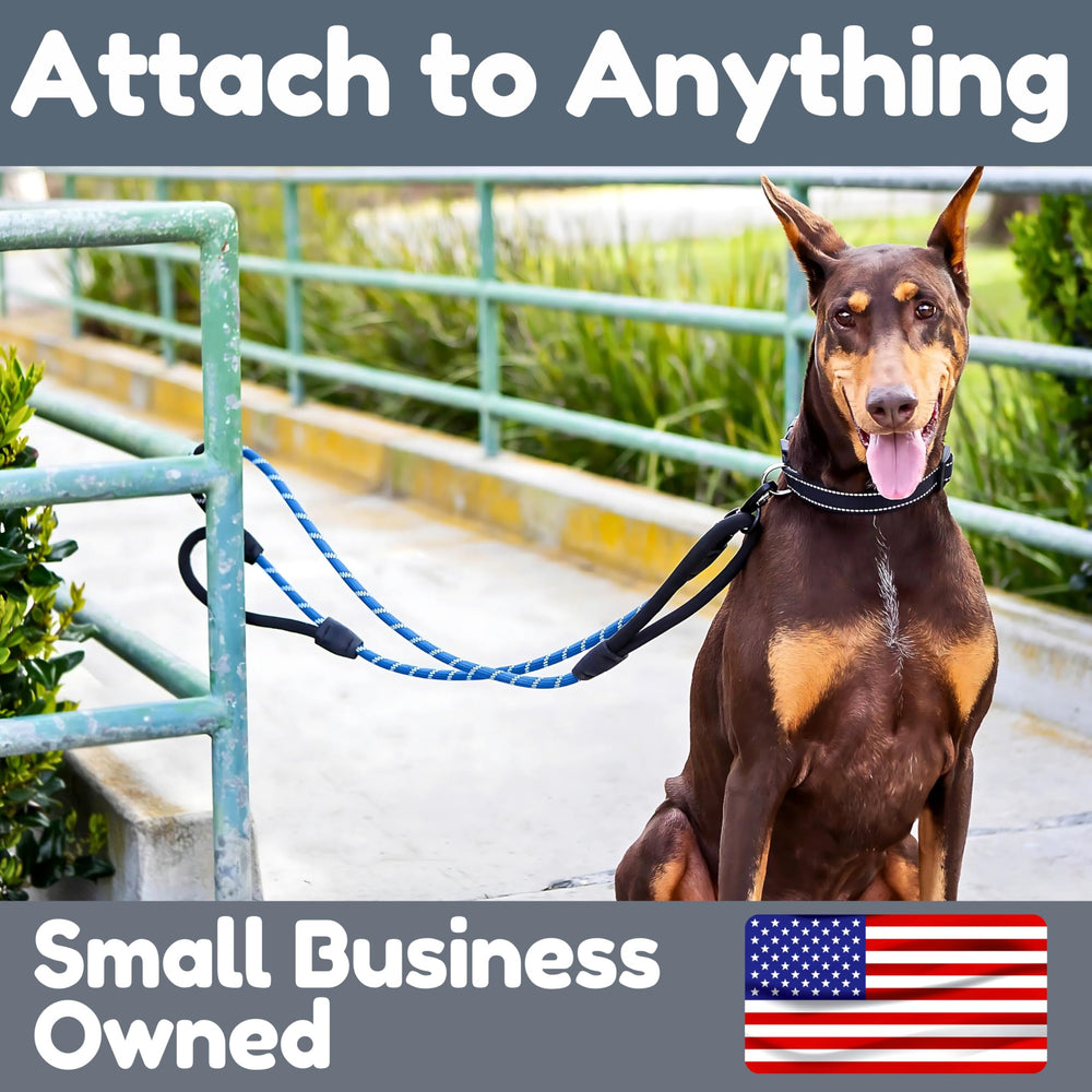 Roam Gear heavy-duty leash for night walks with reflective safety.