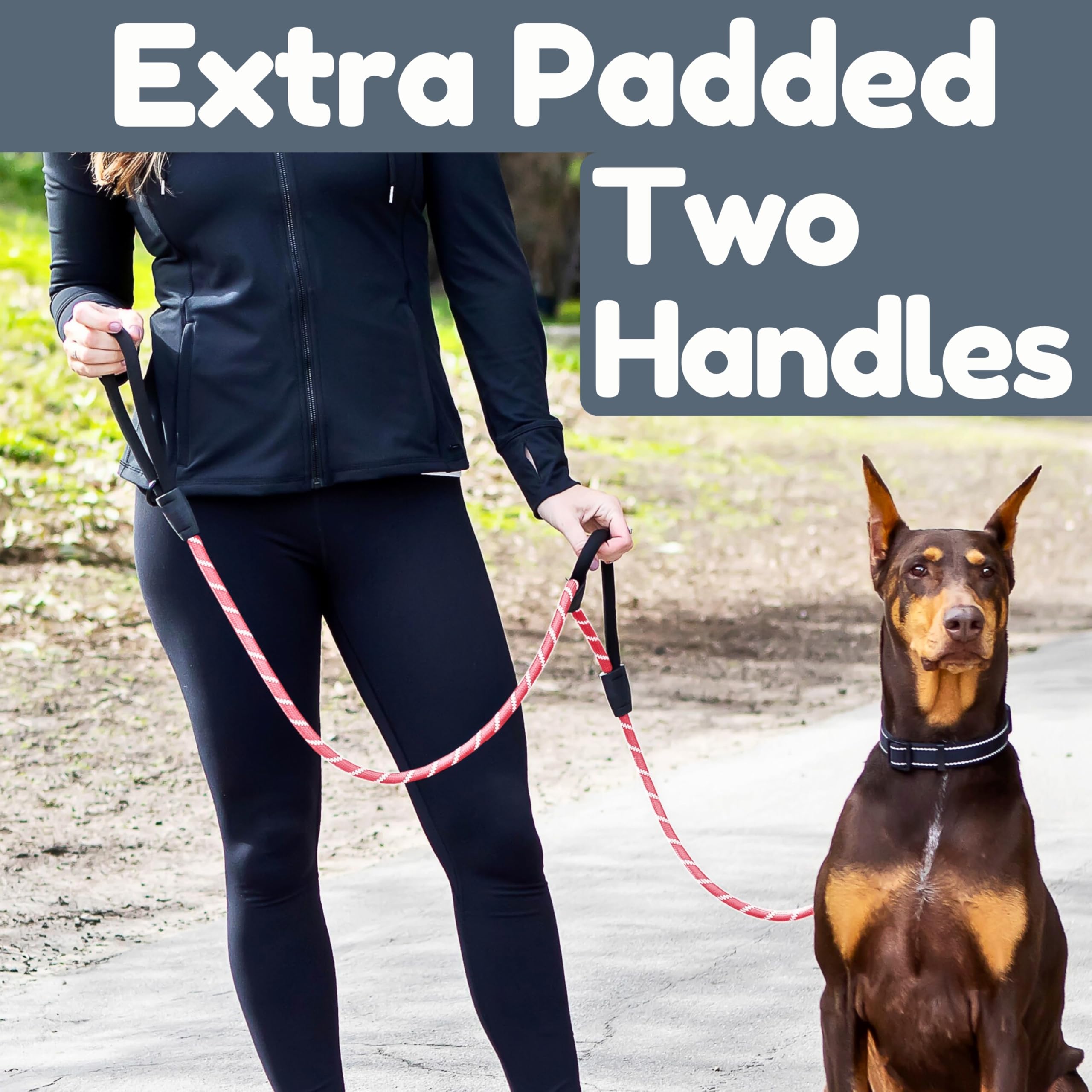 Roam Gear dual padded handles provide comfortable grip during active dogs.
