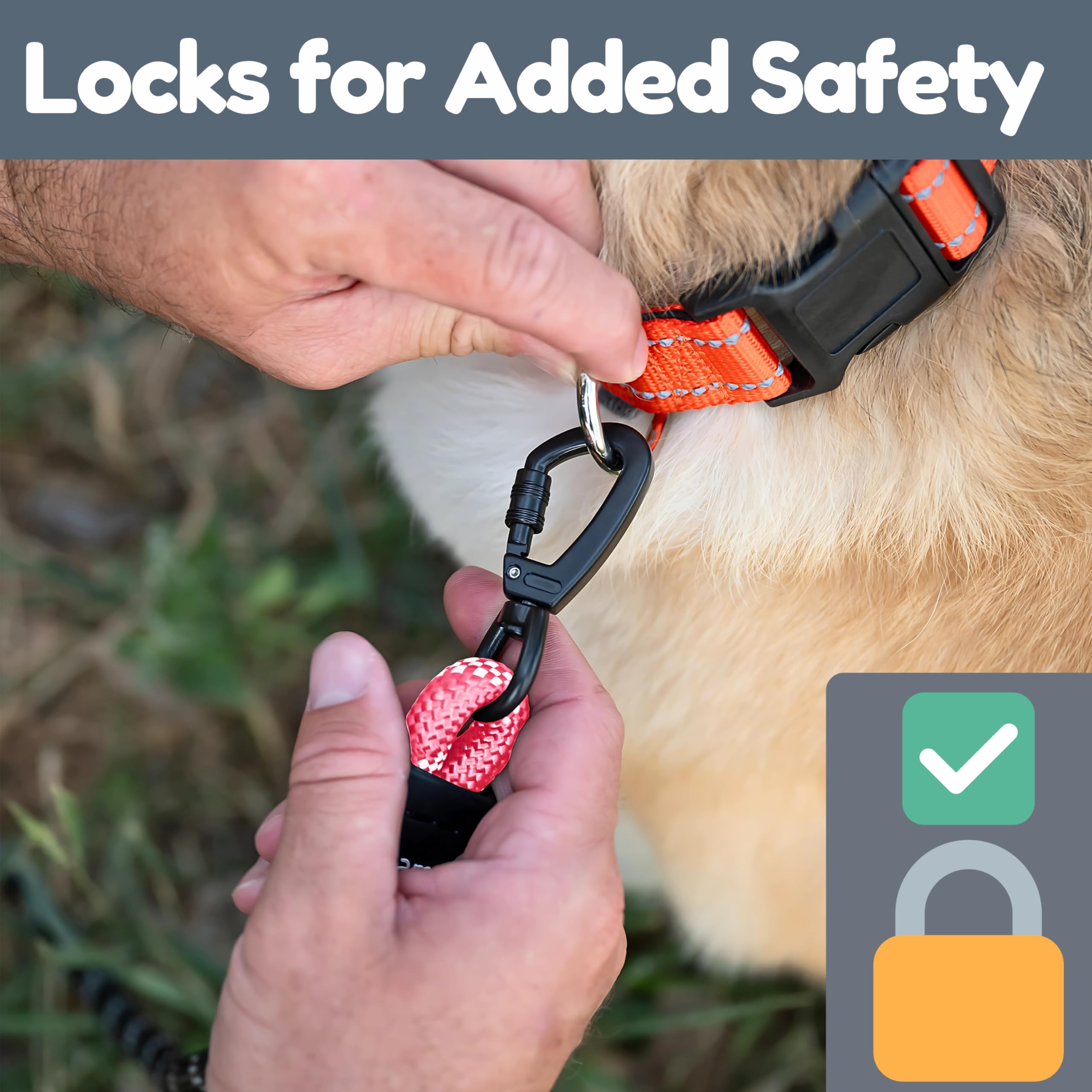 Roam Gear weatherproof rope leash delivers durable performance in all-weather outdoor use.