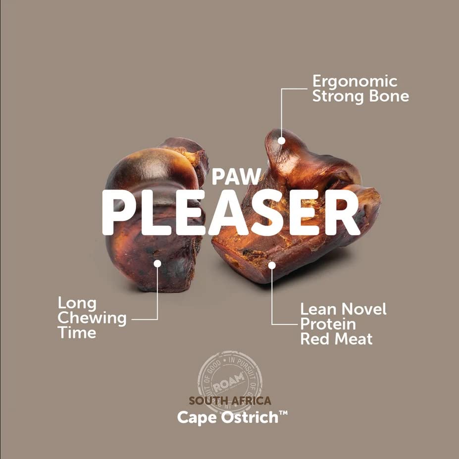 ROAM novel-protein ostrich-meat dog treat highlighting lean protein option