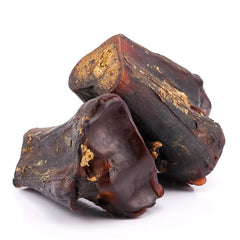 ROAM ostrich bone closeup: natural texture and oils for chewing satisfaction