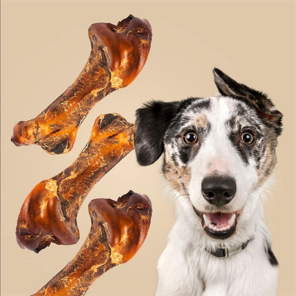 ROAM ostrich bone for dogs—lightweight but sturdy and floats in water.