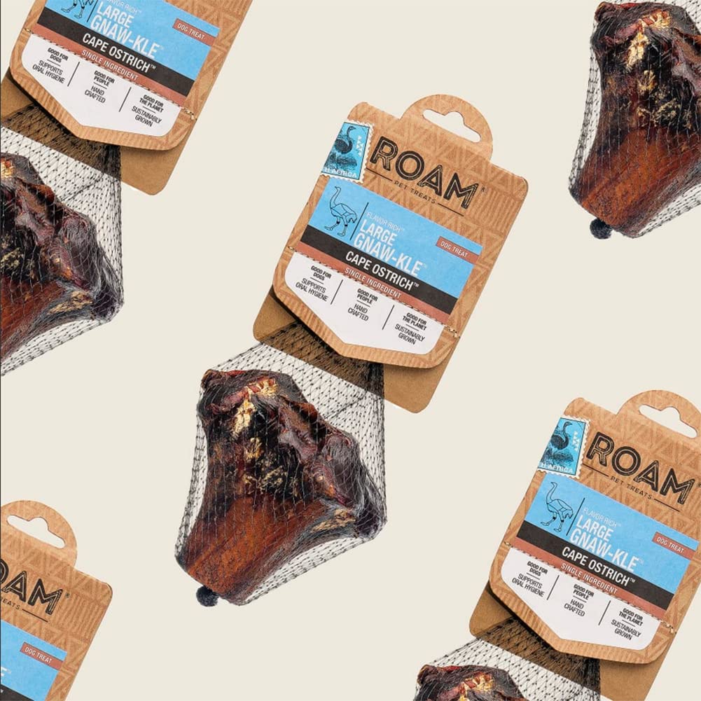 ROAM outdoor-use dog chew scene suggests outdoor enrichment and exercise-friendly snack.