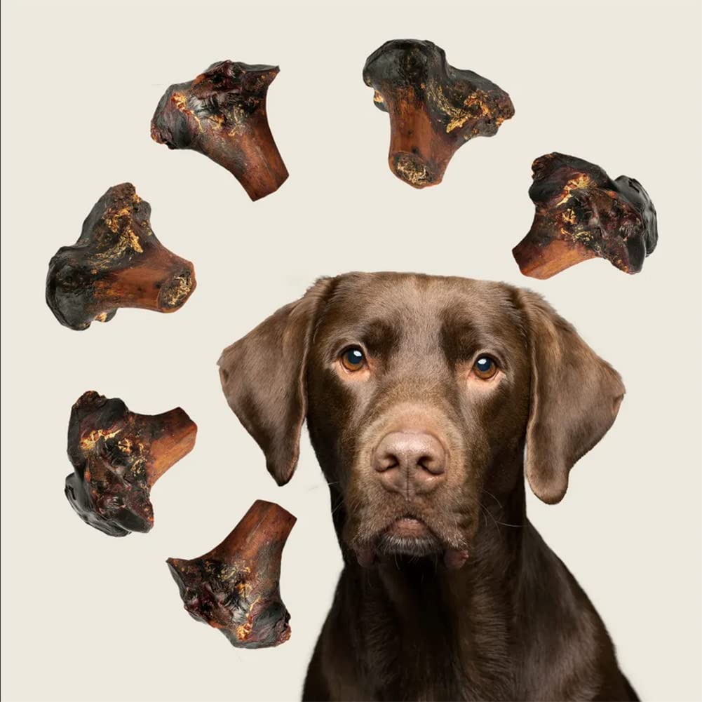 ROAM pack3 ostrich bone detail promotes a long-lasting chew for big breeds.