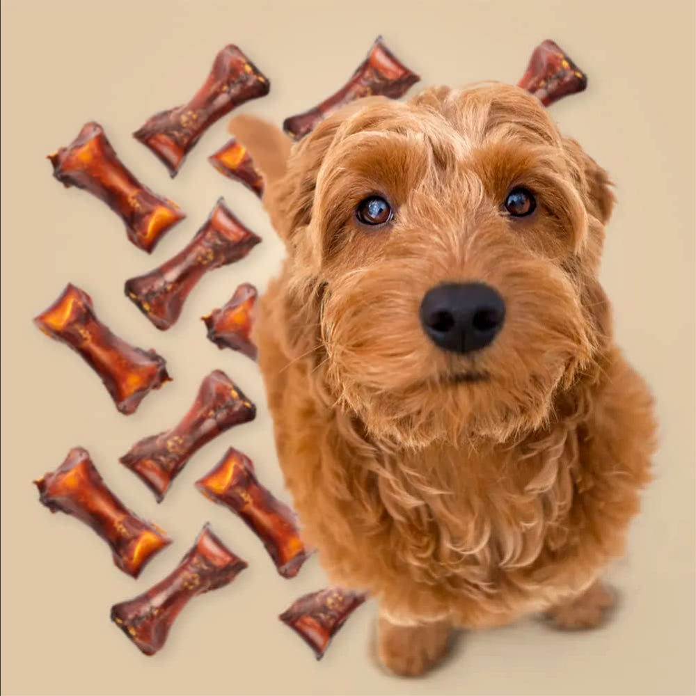 ROAM ostrich dog chew lifestyle shot for daily use with durable chew