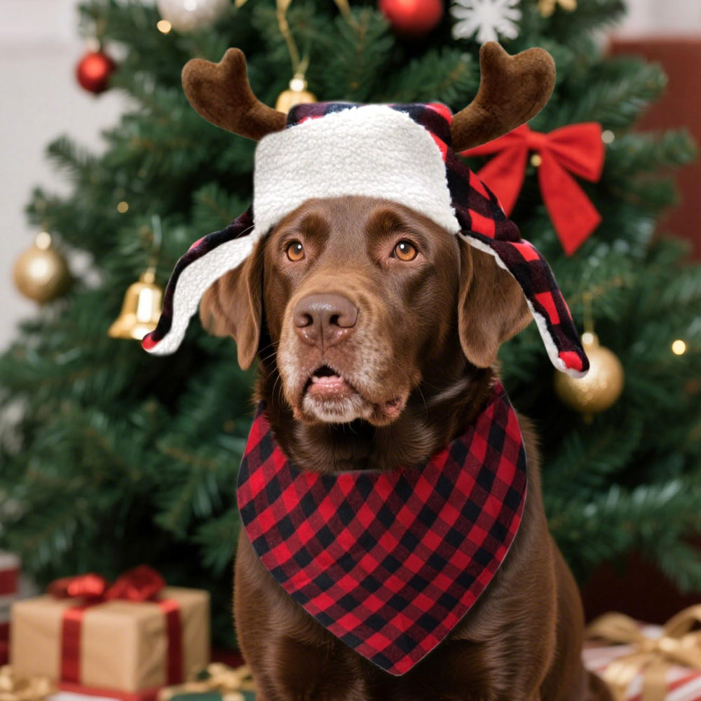 Roaring Good Time soft skin friendly materials keep pets comfortable