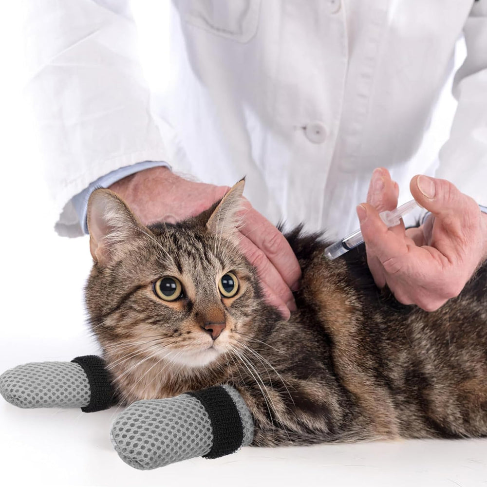ROBOHOOK four-pack gray cat mittens ready for homes, clinics, or pet stores.