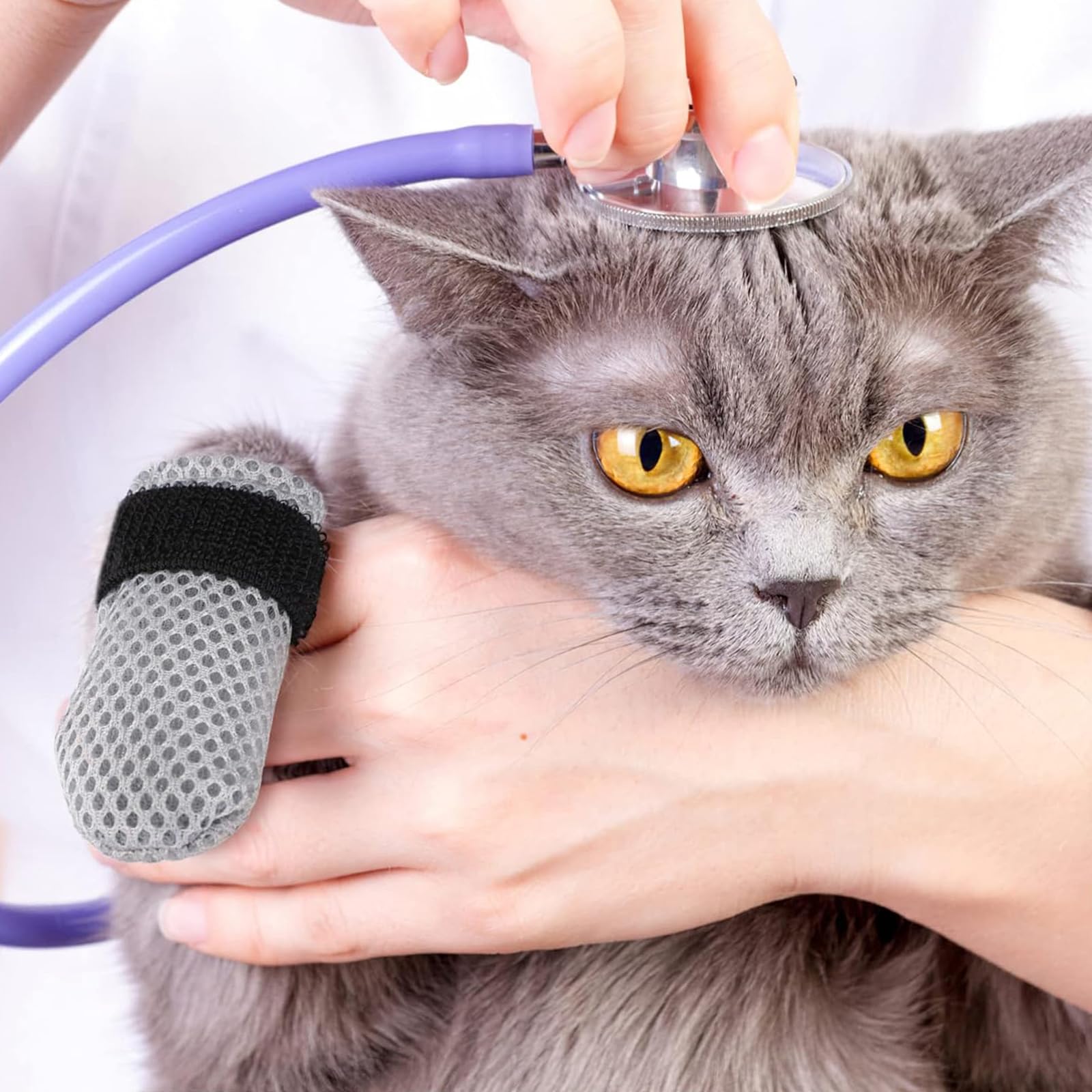 ROBOHOOK cat mittens provide furniture-scratch protection during active sessions.