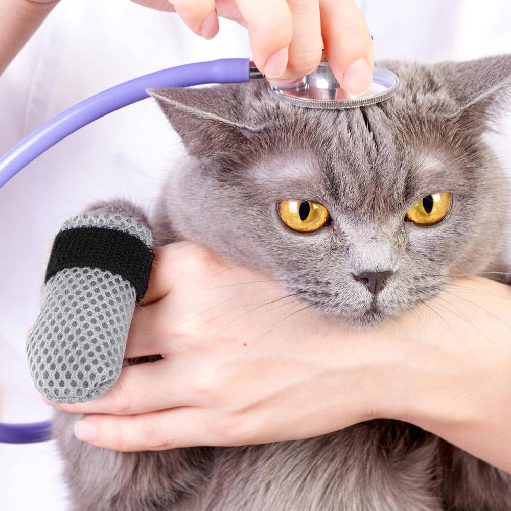 ROBOHOOK cat mittens provide furniture-scratch protection during active sessions.